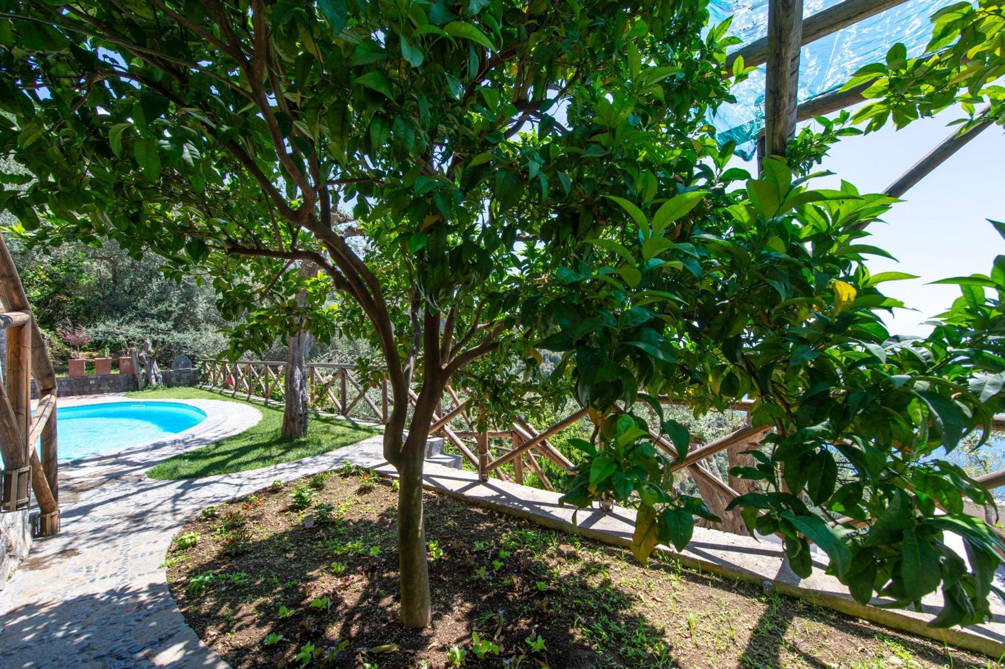 Le Contrade By Sosore Holiday Homes -Amalfi Coast ฟูโรเร ห้อง รูปภาพ